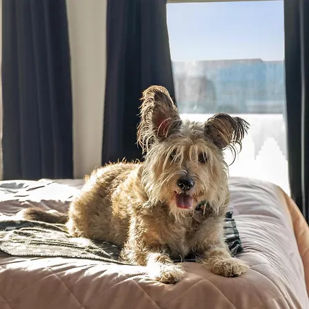 Grano & Wellness 아파트