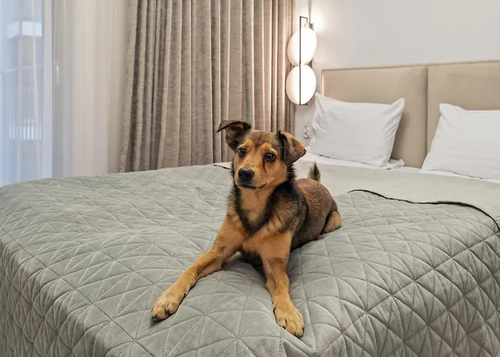 Grano Old Town Spa&wellness - Grano Spa&wellness