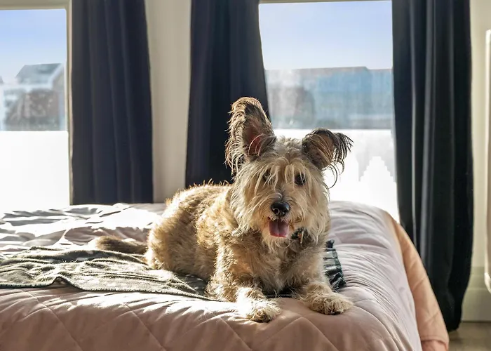 Grano Old Town Spa&wellness - Grano Spa&wellness Apartment