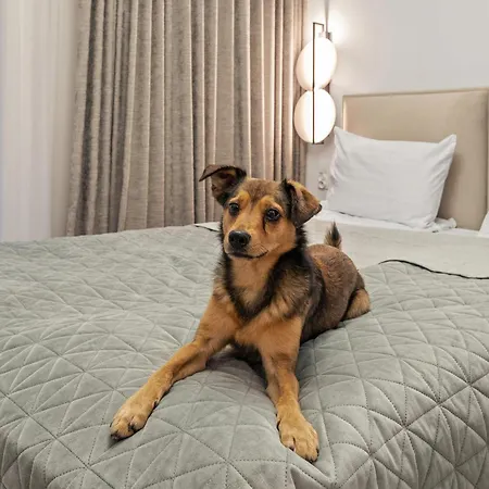 Grano & Wellness - Grano Old Town & Wellness